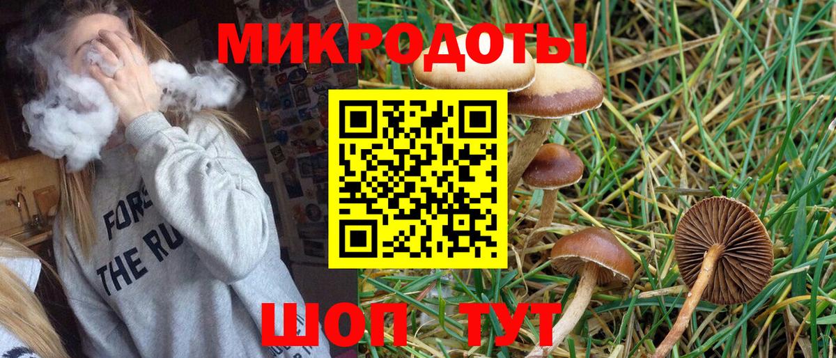 Галлюциногенные грибы Cubensis Кудрово